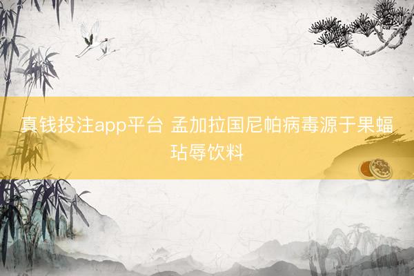 真钱投注app平台 孟加拉国尼帕病毒源于果蝠玷辱饮料